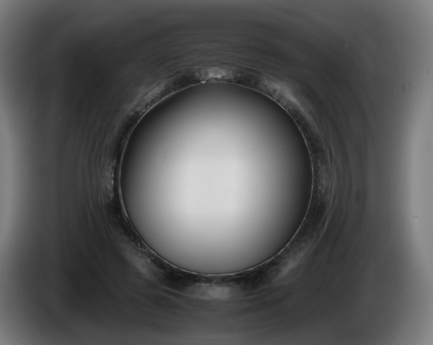 X0000086010545200703301012