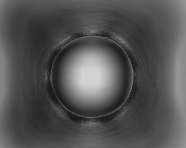 X0000086010546200703301012
