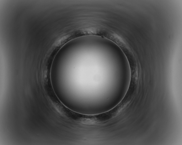 X0000086010548200703301012