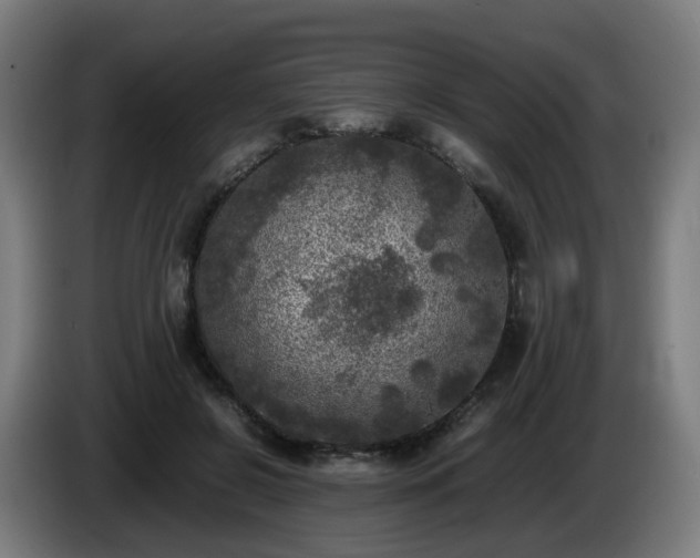 X0000086010550200703301012