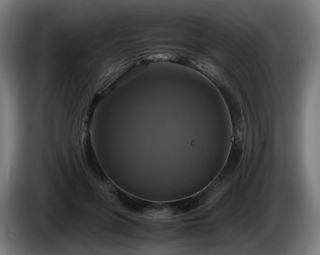 X0000086010551200703301012