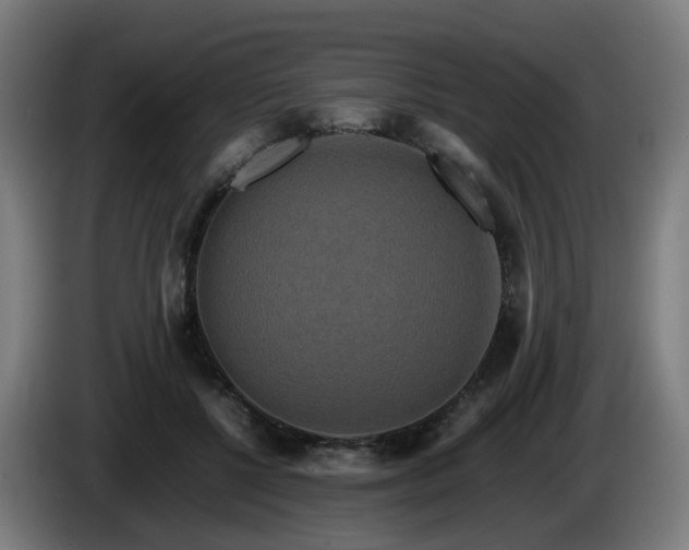 X0000086010552200703301013
