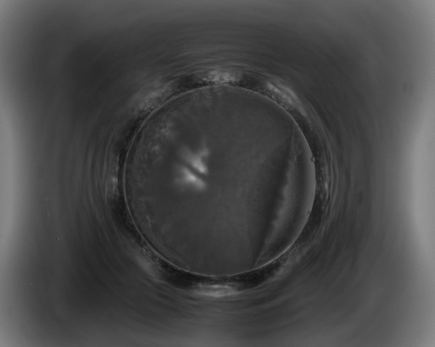 X0000086010553200703301013