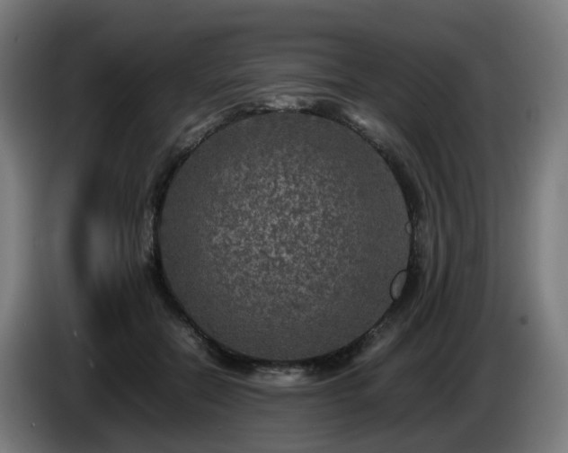 X0000086010554200703301013