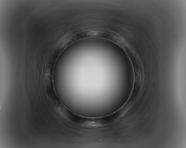 X0000086010557200703301013