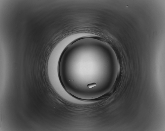 X0000086010558200703301013