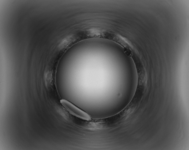 X0000086010560200703301013