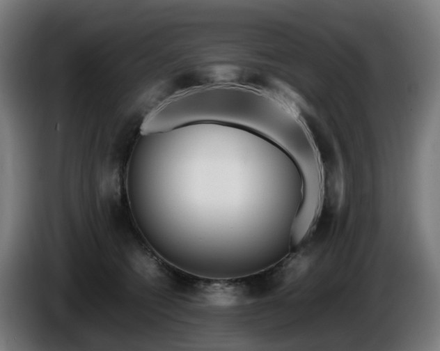 X0000086010562200703301013