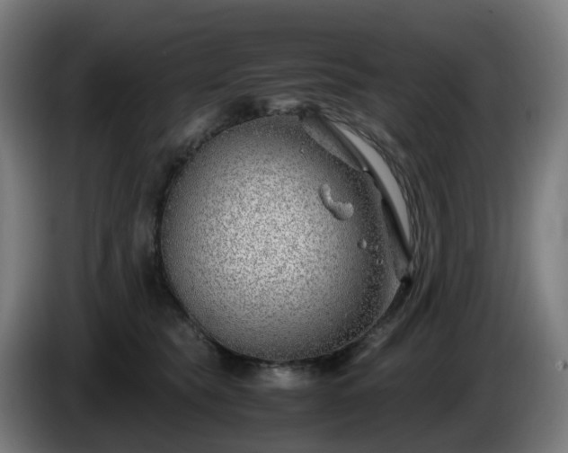 X0000086010565200703301013