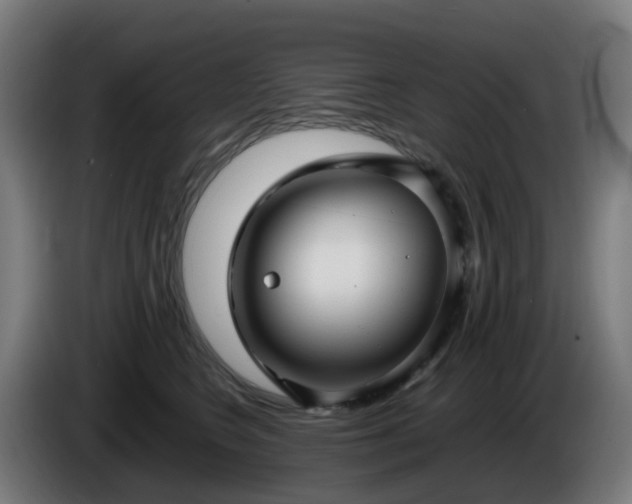 X0000086010566200703301013