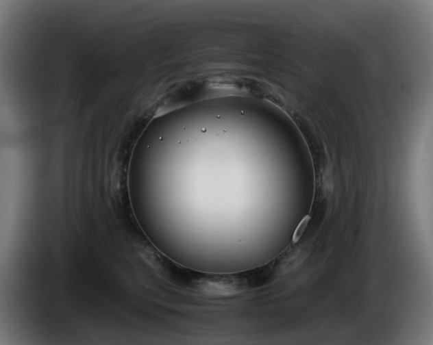X0000086010567200703301013