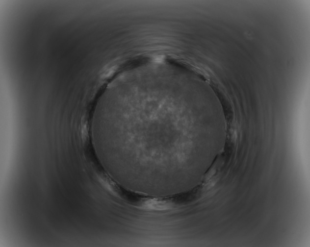 X0000086010568200703301013