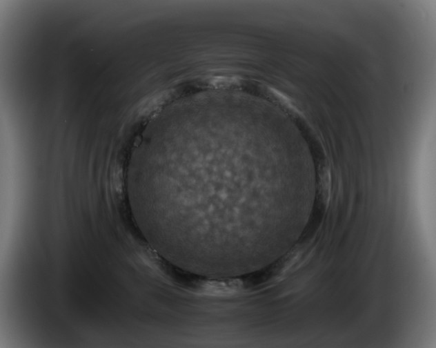 X0000086010571200703301013