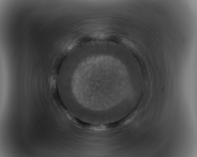 X0000086010576200703301013