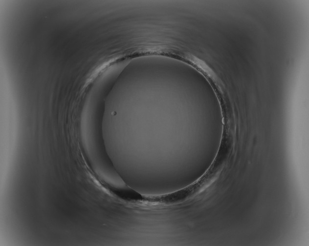 X0000086010577200703301012