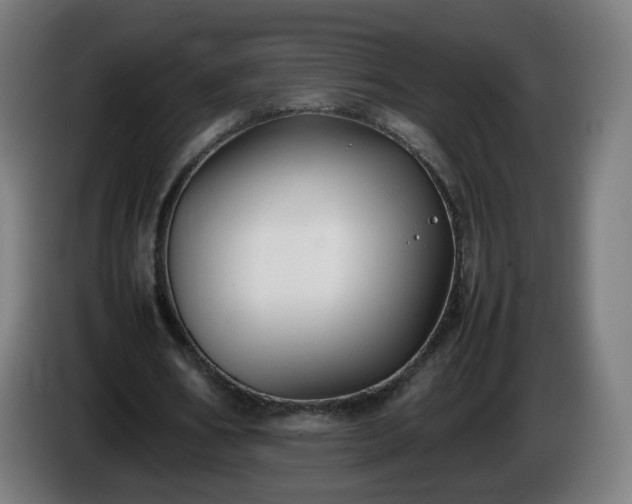 X0000086010578200703301012