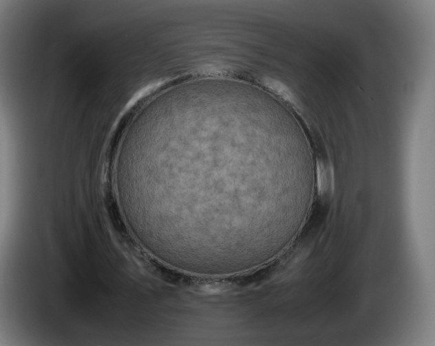 X0000086010579200703301012