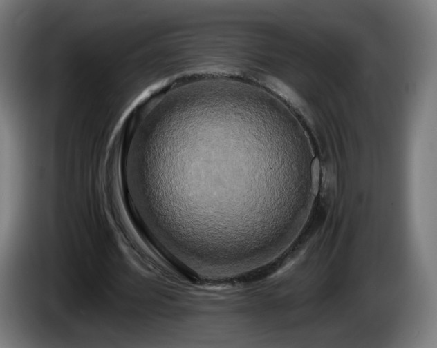 X0000086010580200703301012