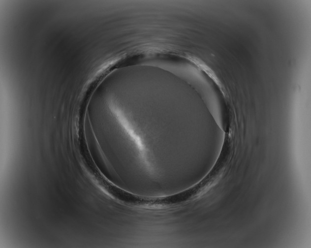 X0000086010581200703301012