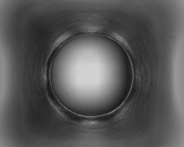 X0000086010582200703301012
