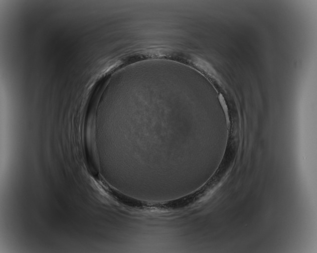 X0000086010585200703301012