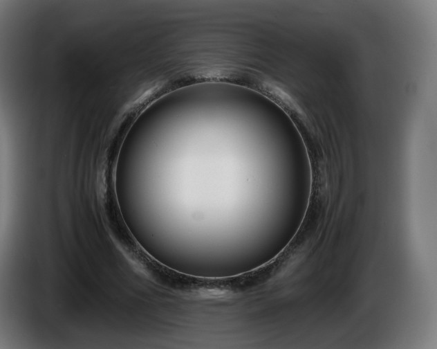 X0000086010586200703301012