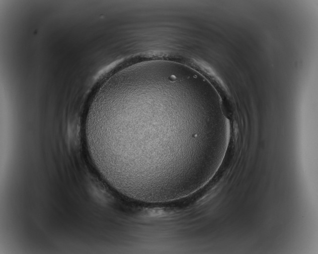 X0000086010588200703301012