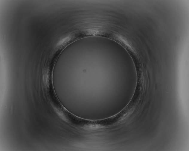 X0000086010590200703301012