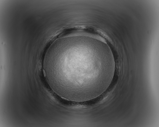X0000086010593200703301012