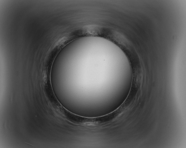 X0000086010595200703301012