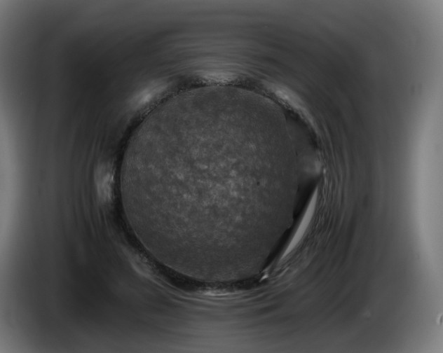 X0000086010596200703301012