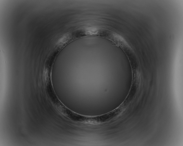 X0000086010598200703301012