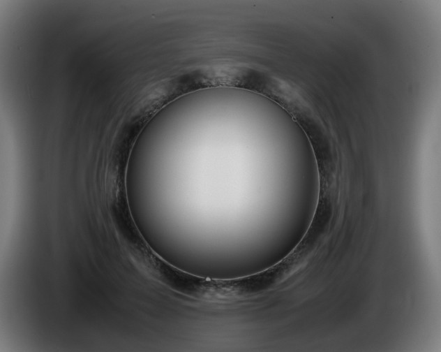 X0000086010599200703301012