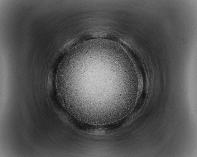 X0000086010600200703301012