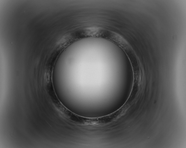 X0000086010602200703301012