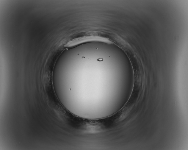 X0000086010603200703301012