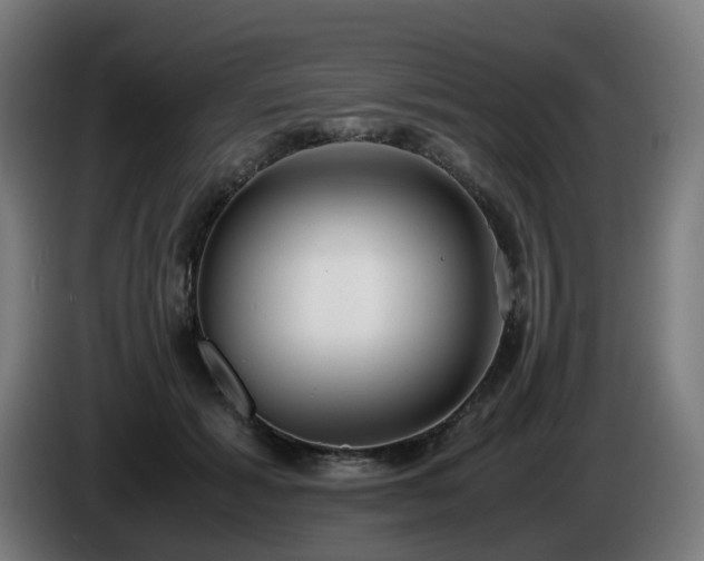 X0000086010605200703301012