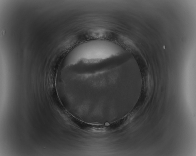 X0000086010606200703301012