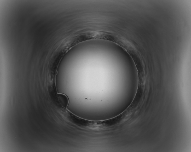 X0000086010607200703301012