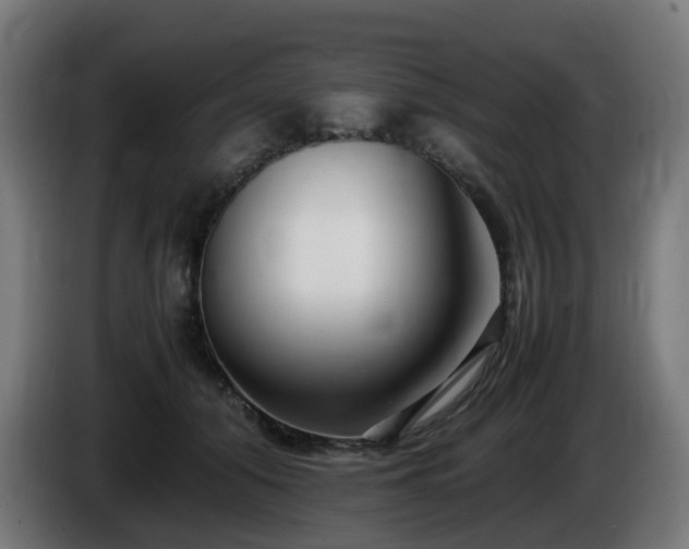 X0000086010608200703301012