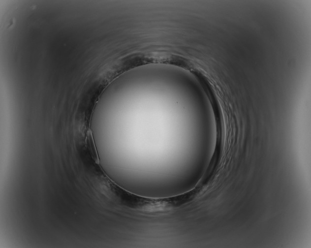 X0000086010609200703301012