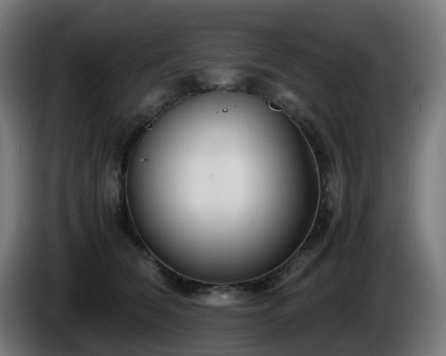 X0000086010612200703301012