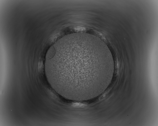 X0000086010614200703301011