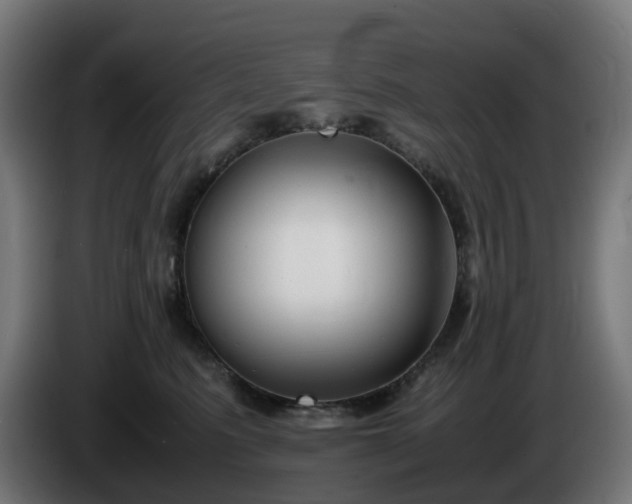 X0000086010615200703301011