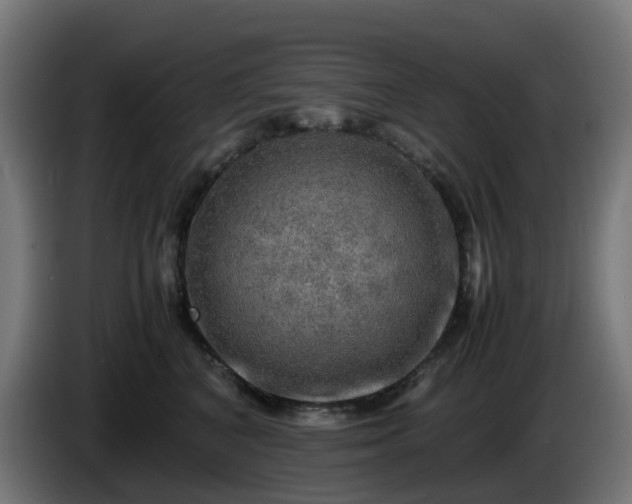 X0000086010616200703301011