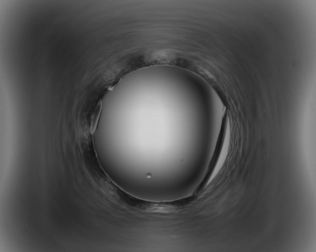 X0000086010617200703301011