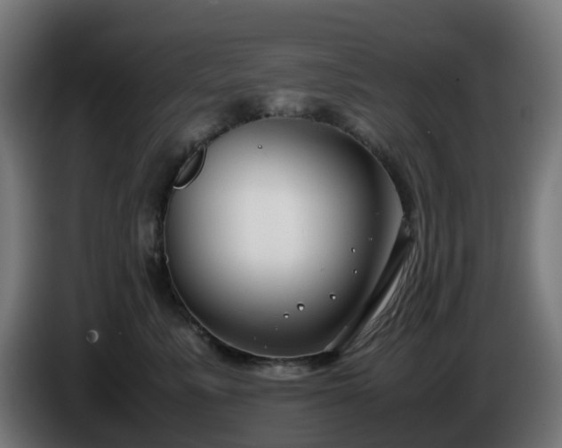 X0000086010619200703301011