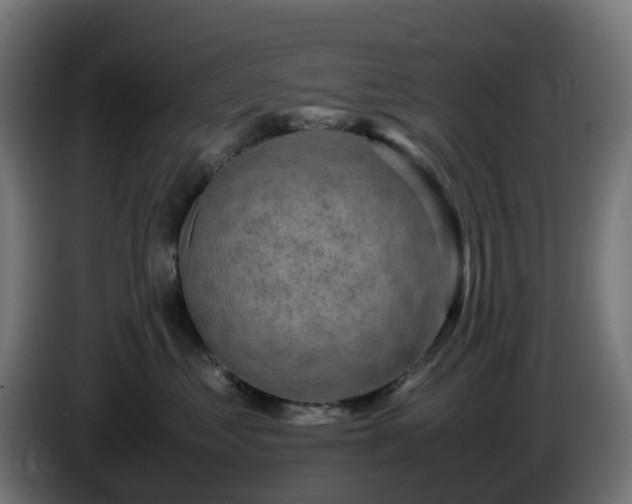 X0000086010621200703301011