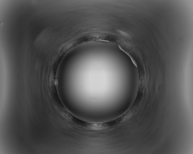 X0000086010623200703301011