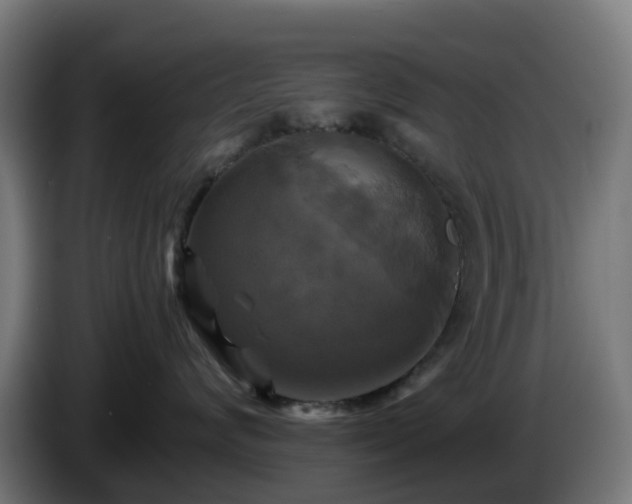 X0000086010624200703301011